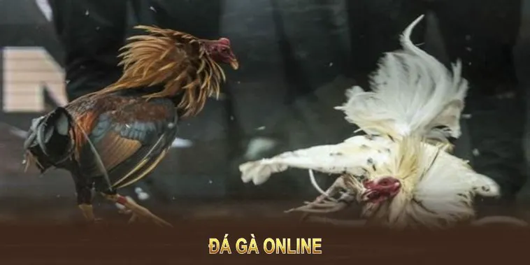 Cách Chơi Đá Gà GA28 Tại FOR88: Hành Trình Giải Trí Đỉnh Cao