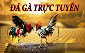 Cách Chơi Đá Gà WS168 Tại FOR88: Hành Trình Giải Trí Đỉnh Cao